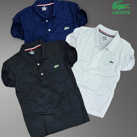 Matty Polo Tshirts in Pack of 3